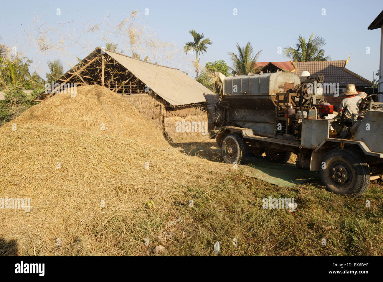 Lavorazione riso, Siem Reap, Cambogia, Indocina, Asia sud-orientale, Asia Foto Stock