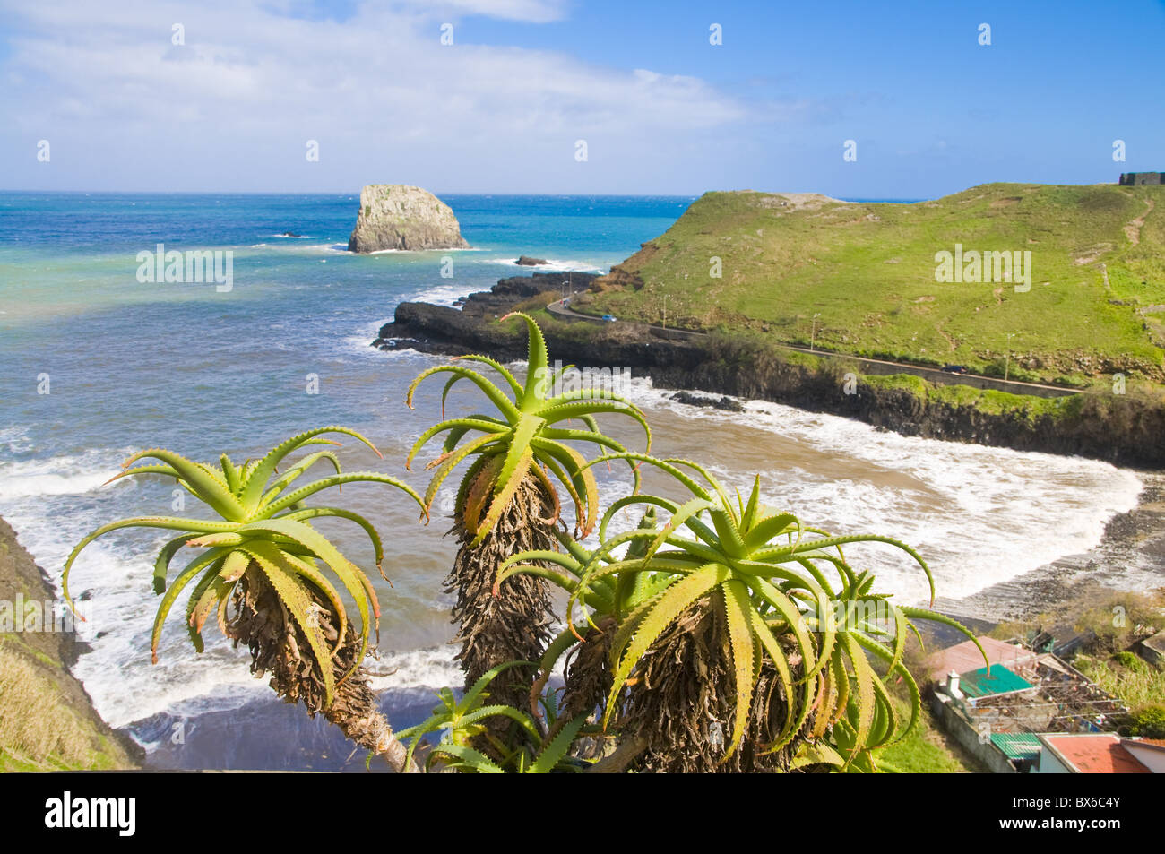 Porto da Cruz, Madeira, Portogallo, Atlantico, Europa Foto Stock