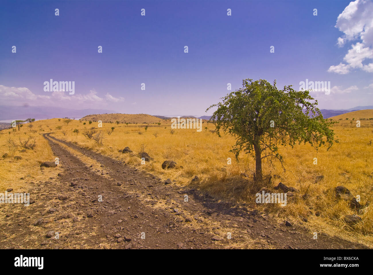 Strada che conduce nel Nechisar National Park, Etiopia, Africa Foto Stock