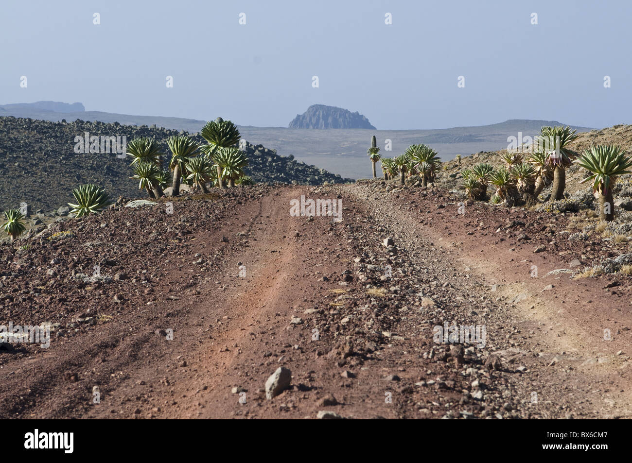 Vista da Tulu Deemtu, la seconda montagna più alta in Etiopia, montagne di balle, Etiopia, Africa Foto Stock