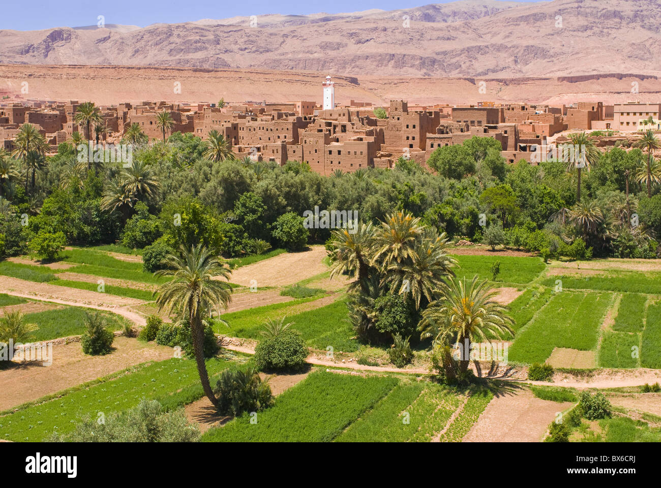 Tipico villaggio del deserto, nei pressi del Todra Gorge, Marocco, Africa Settentrionale, Africa Foto Stock