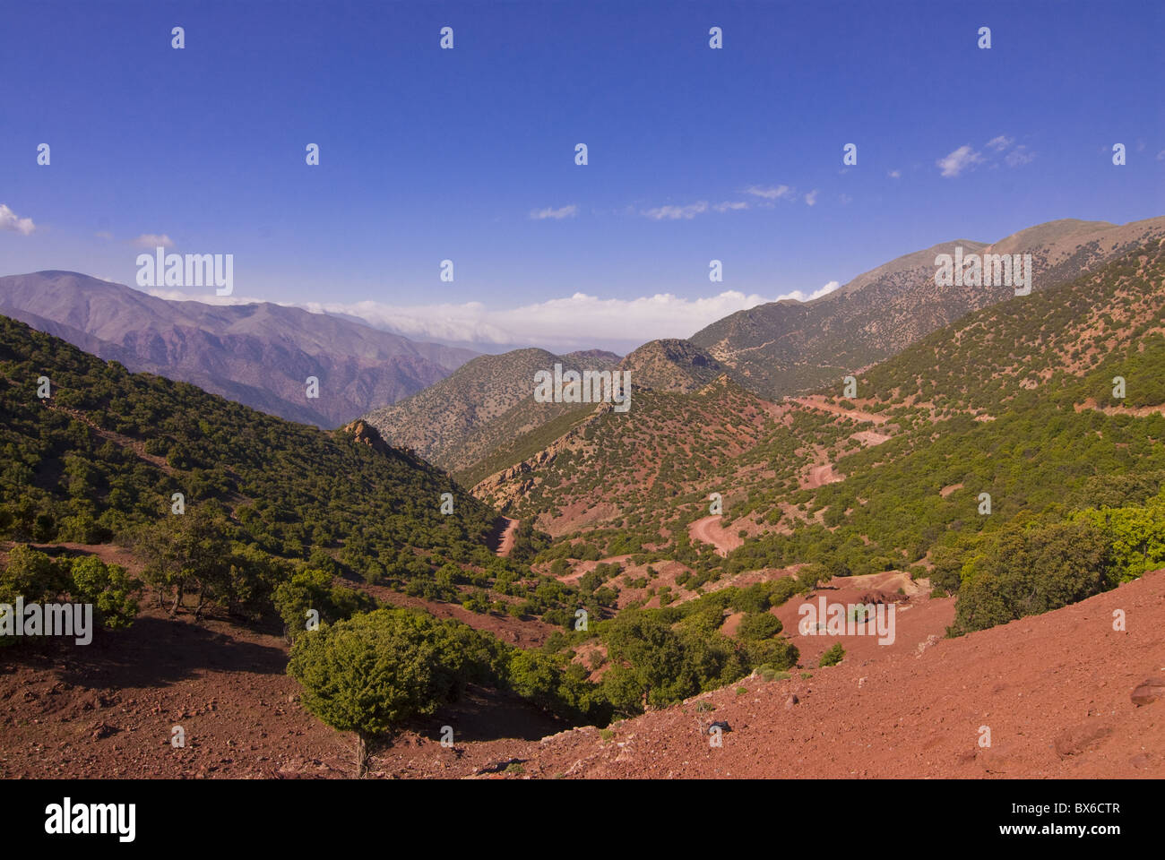 Paesaggio di montagna, visto dal mountain pass Tizi n'Test, montagne Atlas, Marocco, Africa Settentrionale, Africa Foto Stock