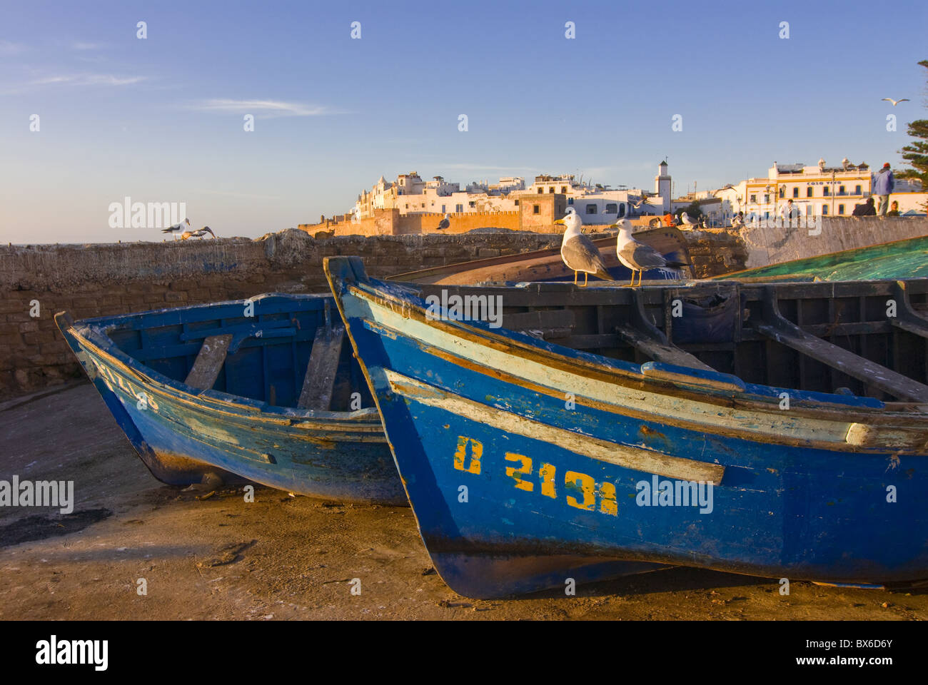 Barche da pesca nella città costiera di Essaouira, Marocco, Africa Settentrionale, Africa Foto Stock