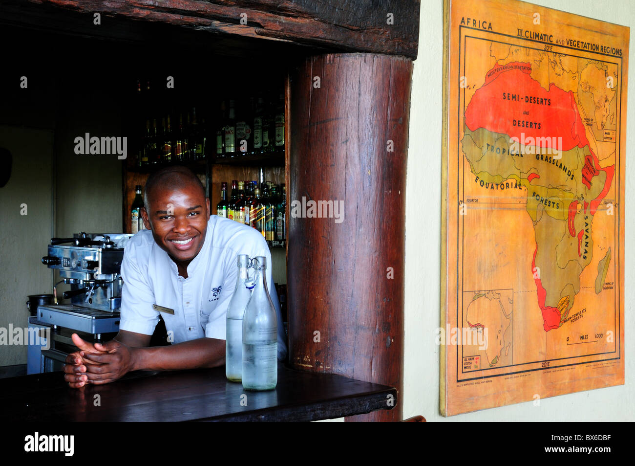 Un giovane barista con un sorriso luminoso. Parco Nazionale di Kruger, Sud Africa. Foto Stock