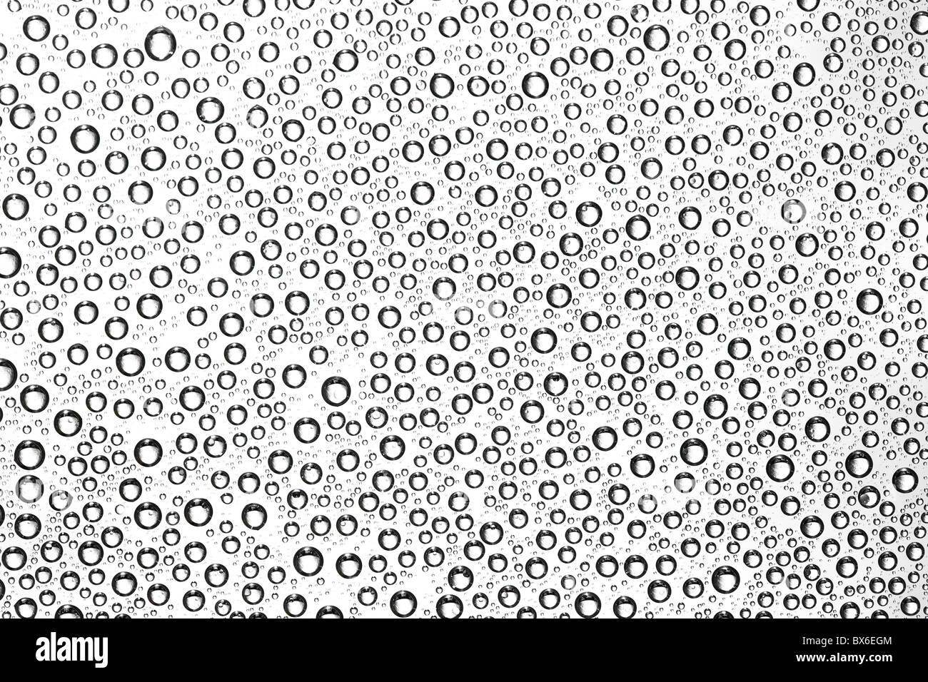 Monocromatico gocce di acqua sullo sfondo Foto Stock