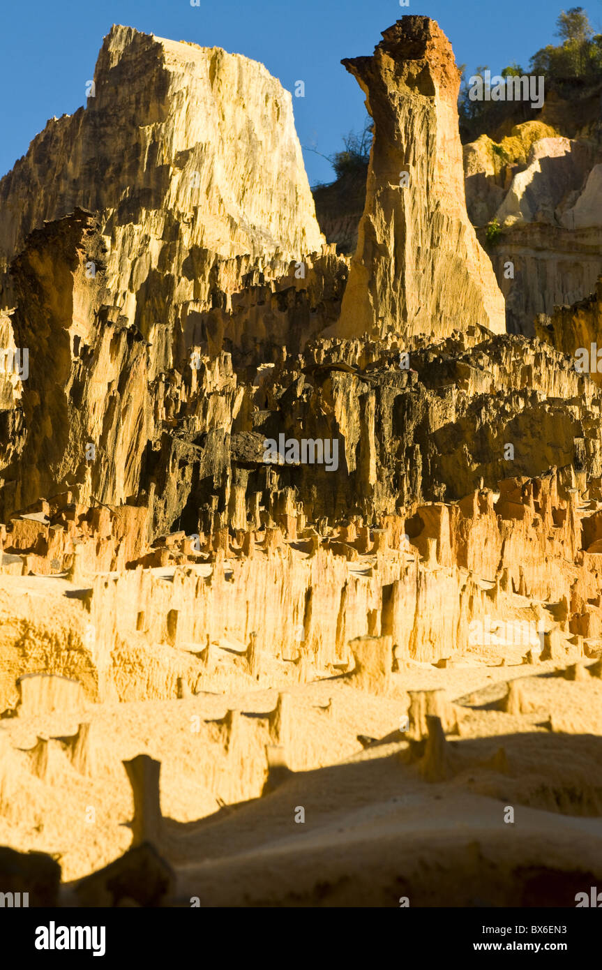 Formazioni di arenaria, Ankarafantsika Parco Nazionale, Madagascar, Africa Foto Stock