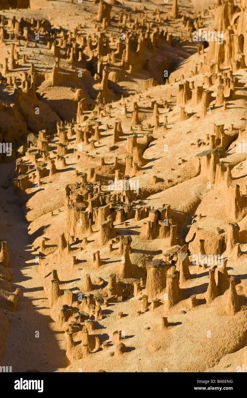Formazioni di arenaria, Ankarafantsika Parco Nazionale, Madagascar, Africa Foto Stock