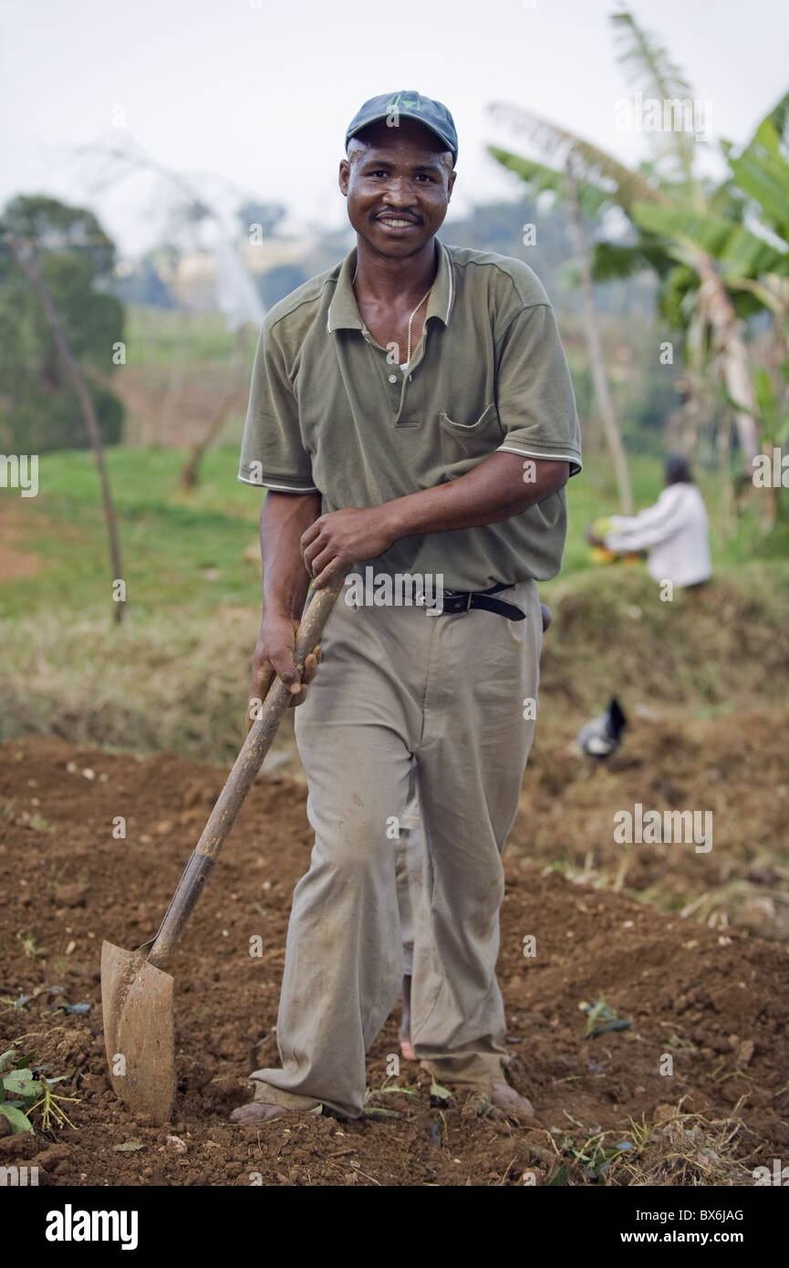 Imprenditore prepara il suo campo, Kenscoff montagne sopra Port au Prince, Haiti, West Indies, dei Caraibi e America centrale Foto Stock