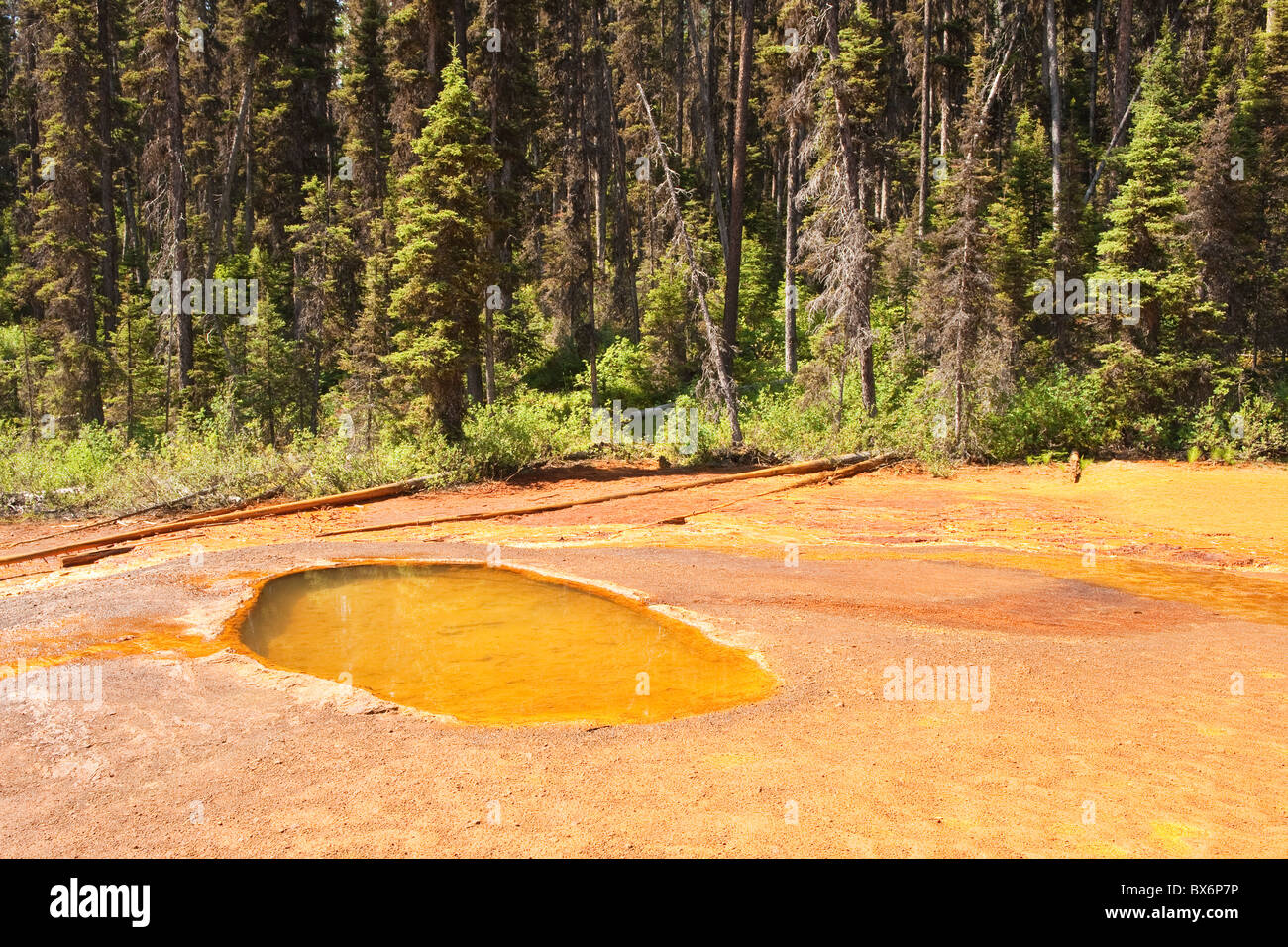 Ocre piscina minerale in Paint Pots, Kootenay National Park, British Columbia, Canada Foto Stock