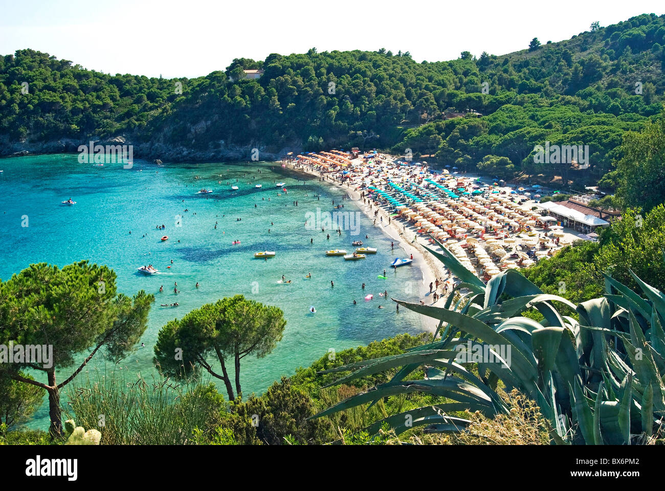 Fetovaia, Isola d'Elba, Isola d'Elba, Toscana, Italia, Europa Foto Stock