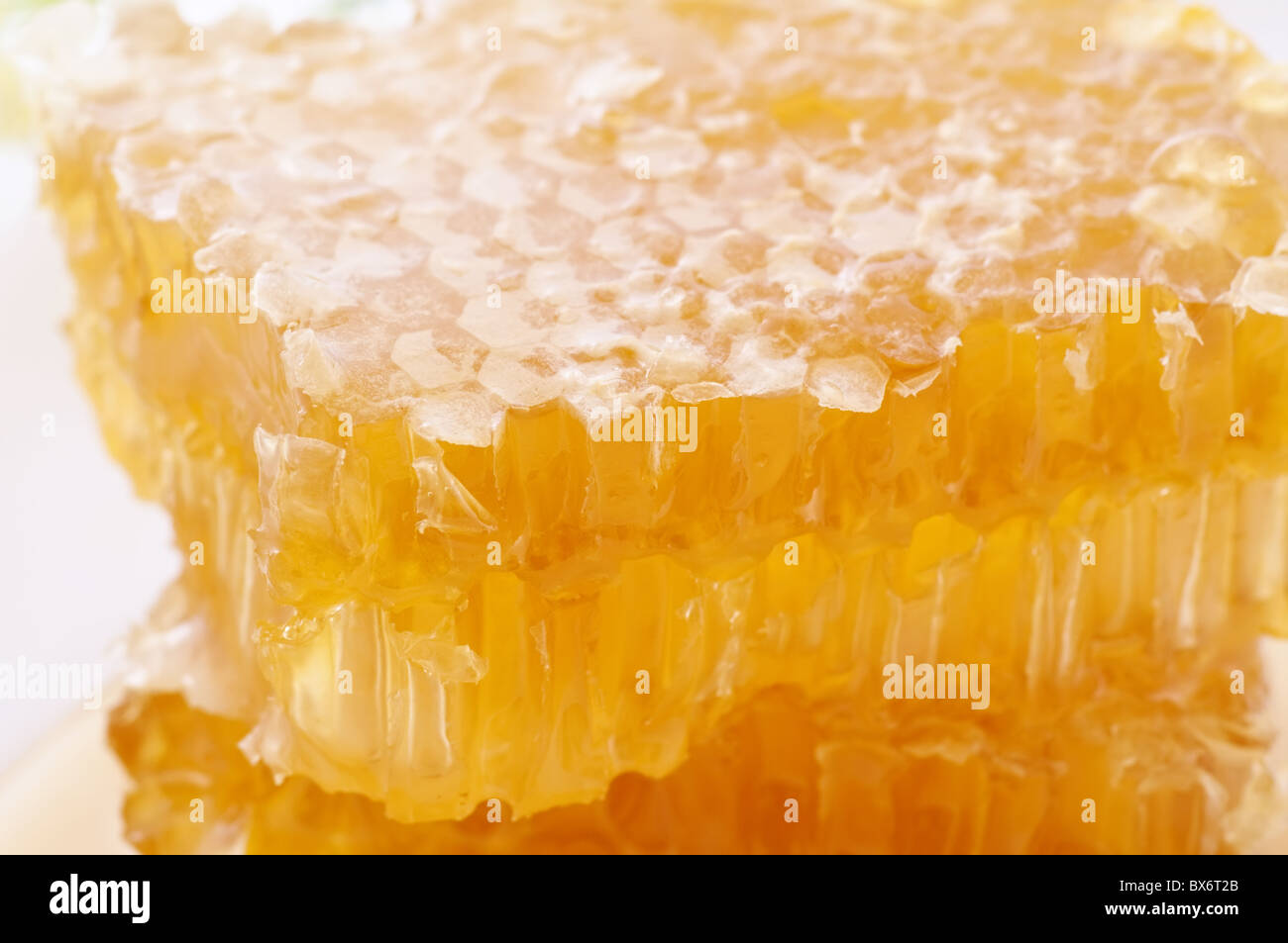 Pezzo di un honeycomp con miele di gocciolamento in primo piano Foto Stock