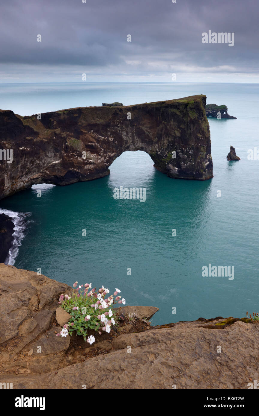Dyrholaey Arco Naturale, il punto più meridionale in Islanda, vicino a VIK, nel sud dell'Islanda (Sudurland), Islanda, regioni polari Foto Stock