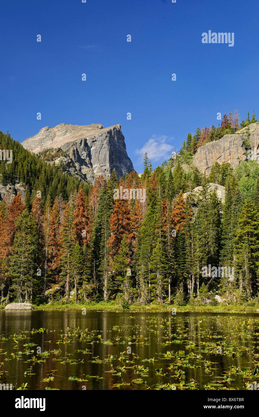 Ninfa Lago e Hallet picco, Rocky Mountain National Park, Estes Park, COLORADO, Stati Uniti d'America Foto Stock