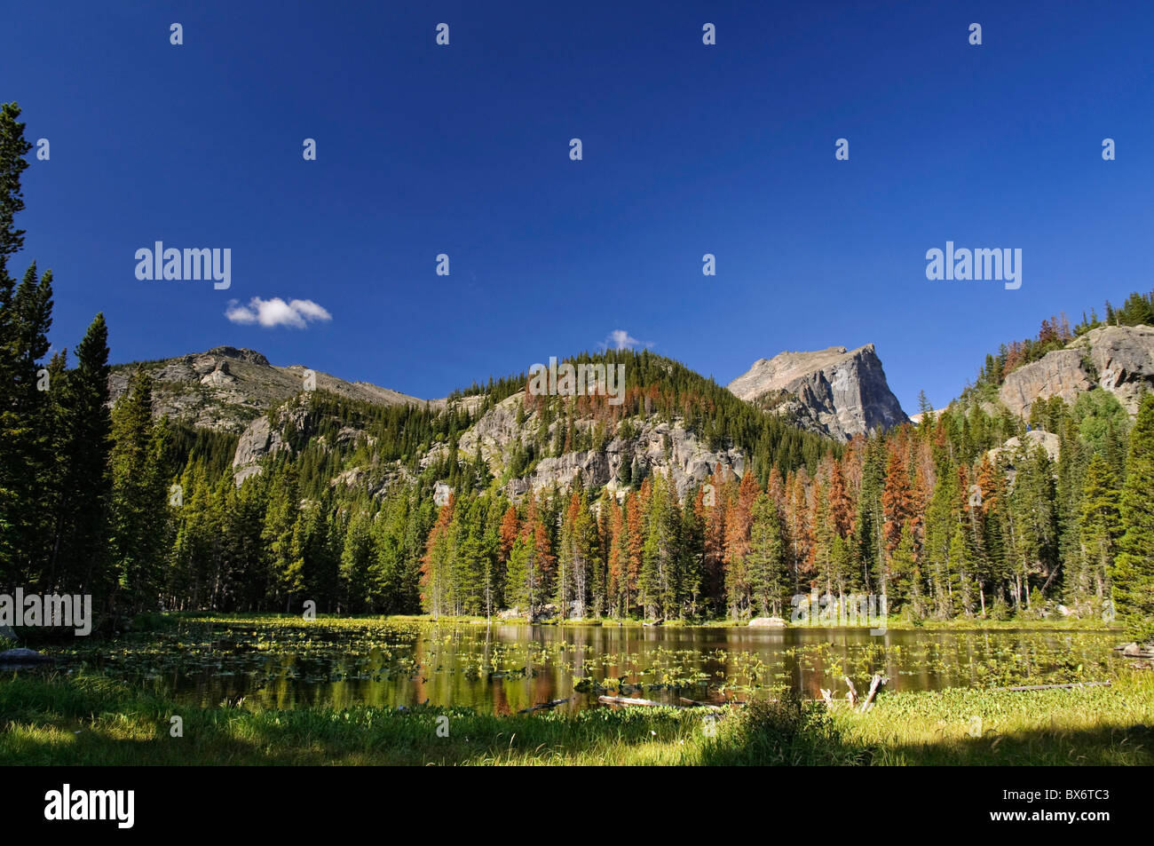 Ninfa Lago e Hallet picco, Rocky Mountain National Park, Estes Park, COLORADO, Stati Uniti d'America Foto Stock