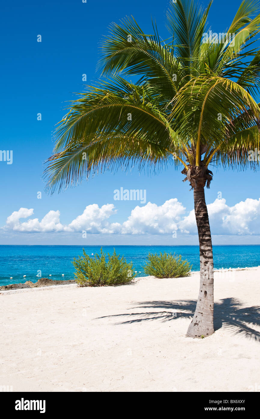 Spiaggia di Chankanaab Park, Isla de Cozumel (Isola di Cozumel), Cozumel, fuori dello Yucatan, Quintana Roo, Messico, America del Nord Foto Stock