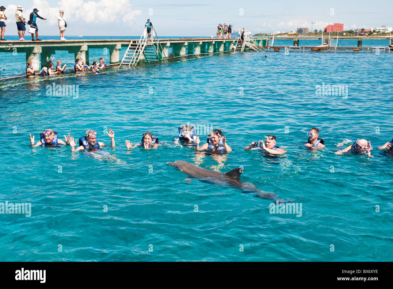 Dolphin Discovery a Chankanaab Park, Isla de Cozumel (Isola di Cozumel), Cozumel, fuori dello Yucatan, Quintana Roo, Messico Foto Stock