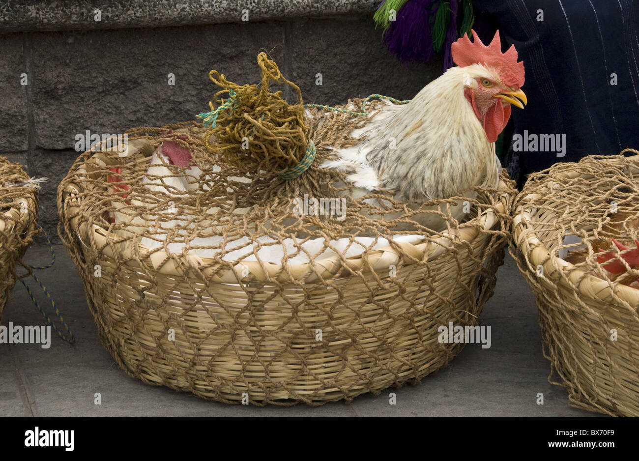 I polli in vendita presso il mercato del venerdì nel villaggio di Solola, vicino al lago Atitlan, Guatemala, America Centrale Foto Stock