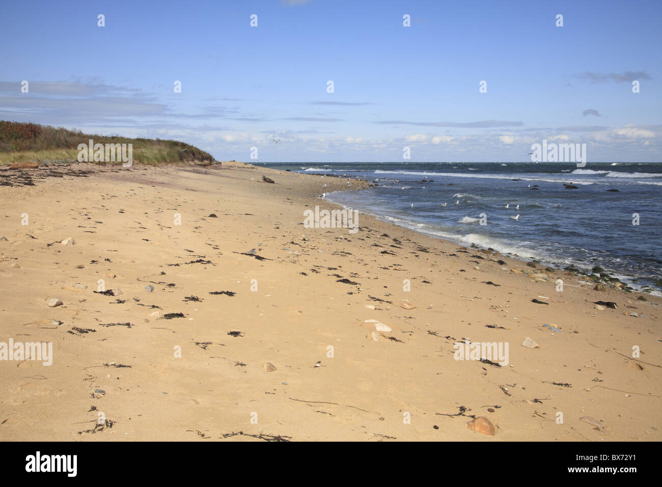 Montauk Point State Park, Montauk, Long Island, New York, Stati Uniti d'America, America del Nord Foto Stock