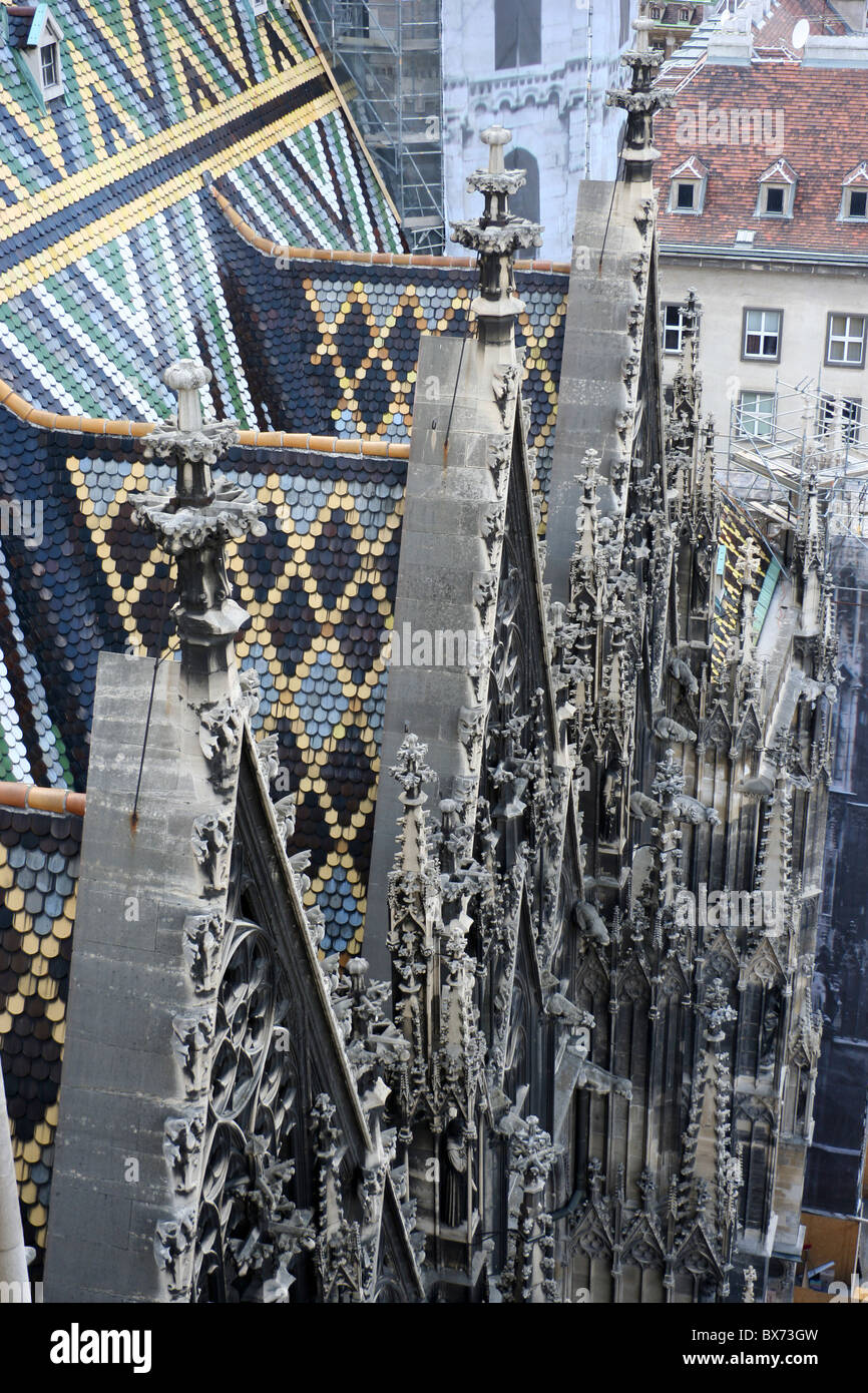 Il Duomo di Santo Stefano a Vienna Foto Stock