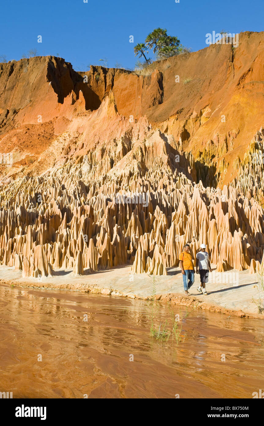 Red Tsingys, strane formazioni arenarie, vicino a Diego Suarez (Antsiranana), Madagascar, Africa Foto Stock