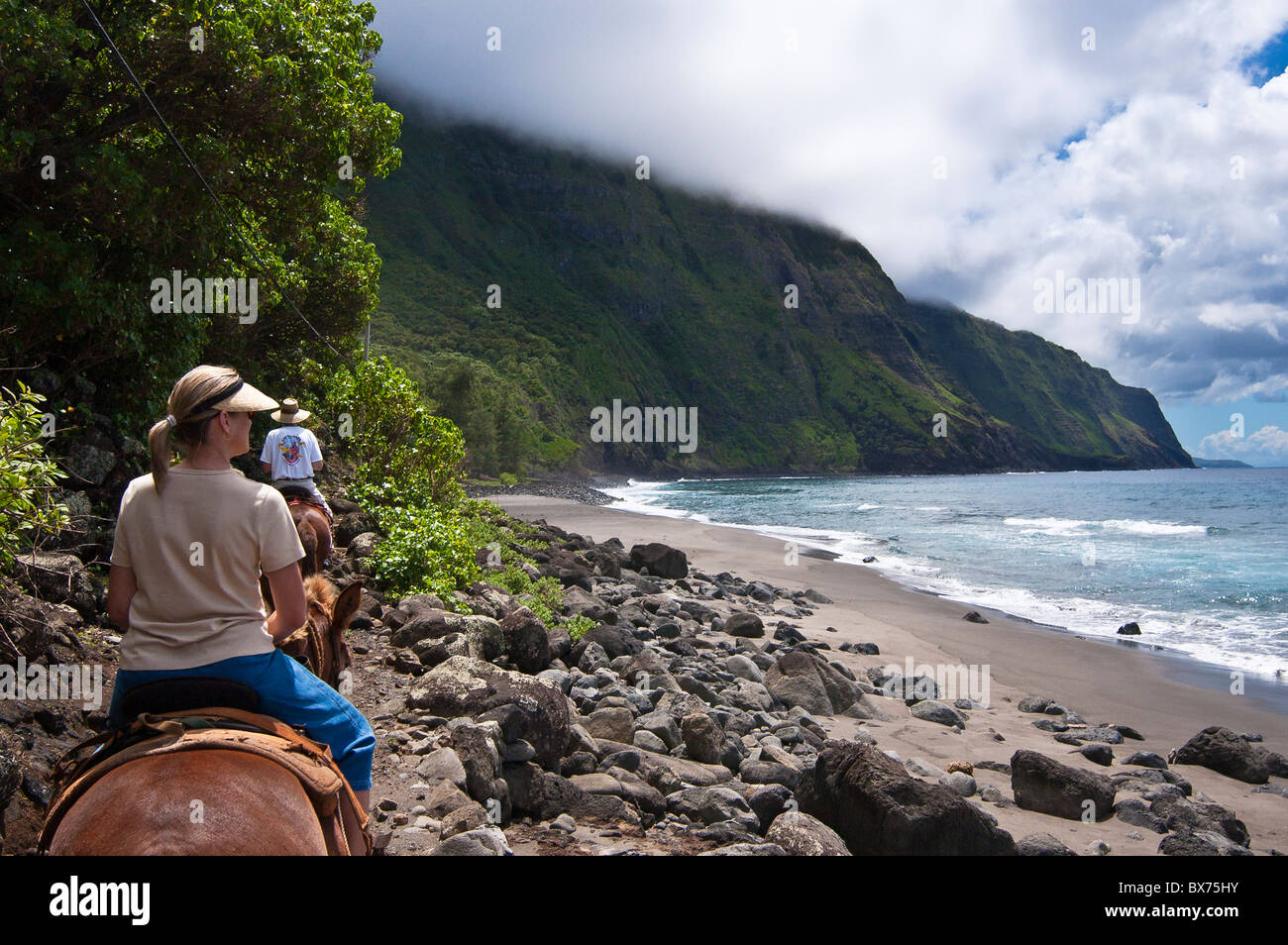 Molokai Mule Ride tour lungo la spiaggia di Kalaupapa Peninsula, Molokai, Hawaii. Foto Stock