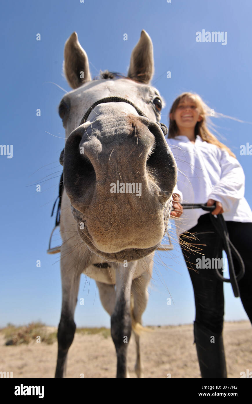 Immagine umoristica di un sorridente adolescente e il suo cavallo arabo, focus sul naso Foto Stock