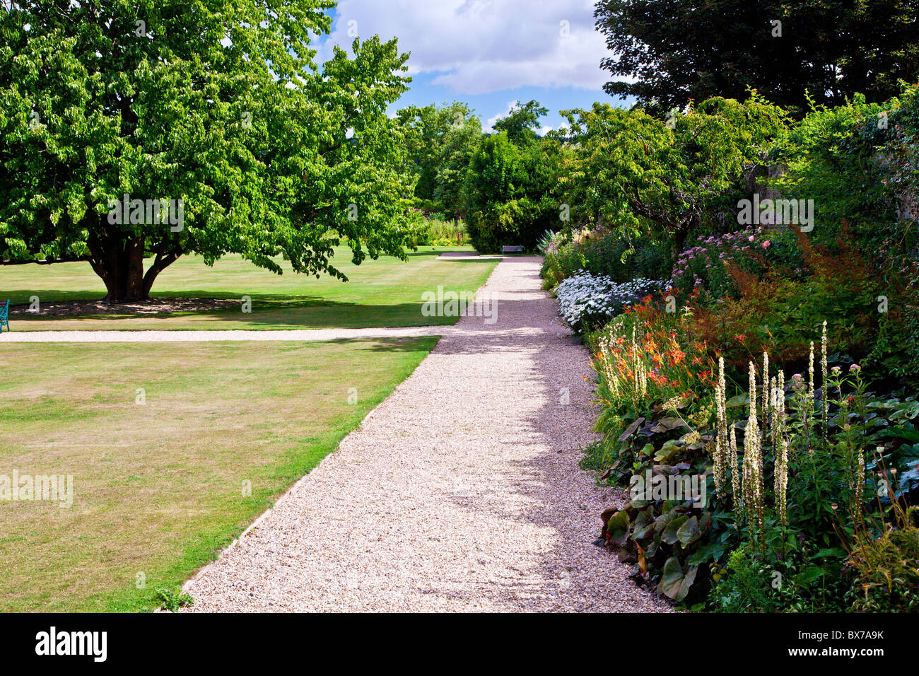 Piante erbacee perenni confine di fiori d'estate e un prato in un paese di lingua inglese giardino in Berkshire, Inghilterra, Regno Unito Foto Stock