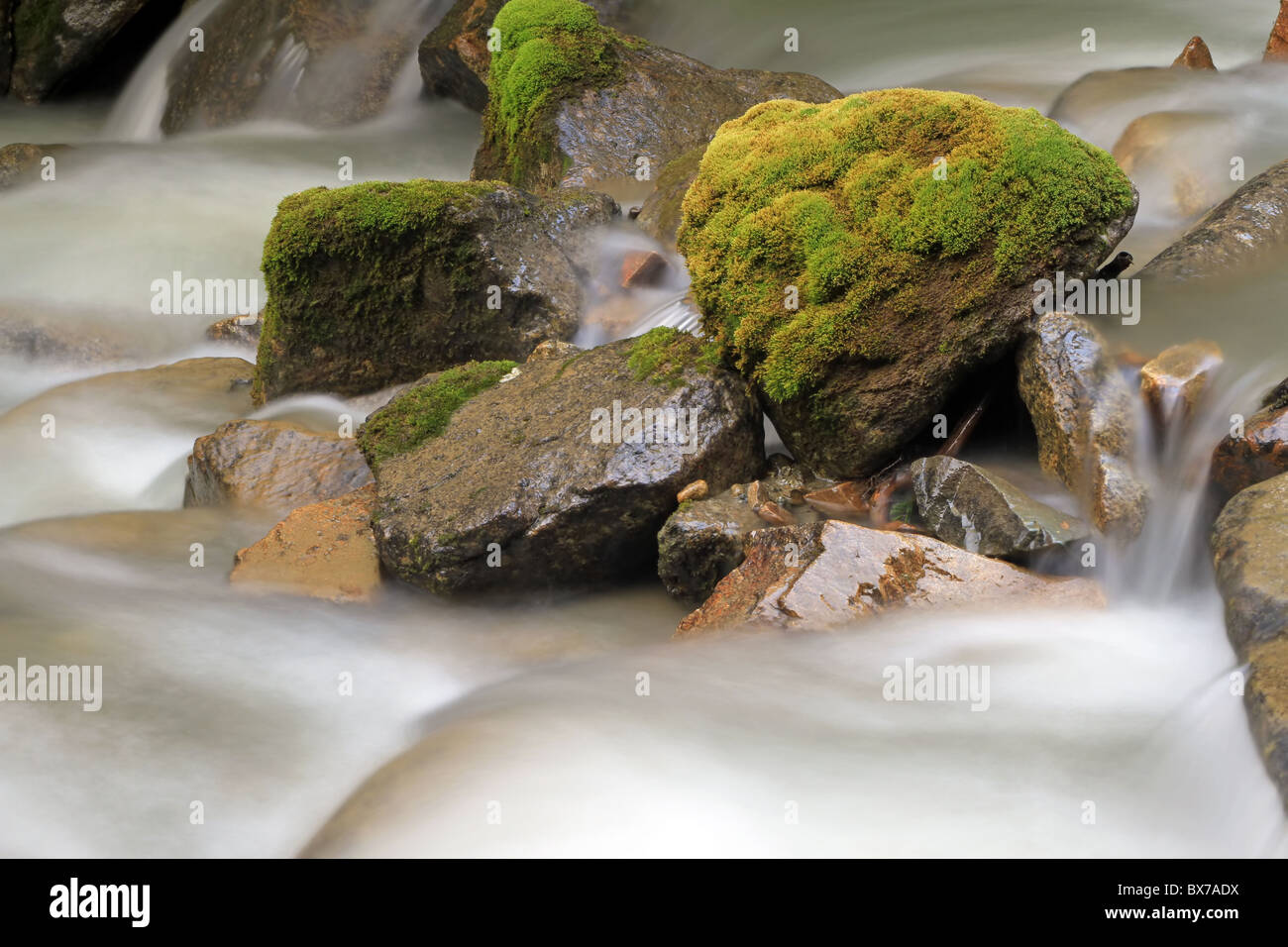 Una cascata di roccia in una foresta con flusso di muschio sulle rocce, una rilassante e tranquilla scena di natura in Skagway, Alaska, Stati Uniti d'America. Foto Stock