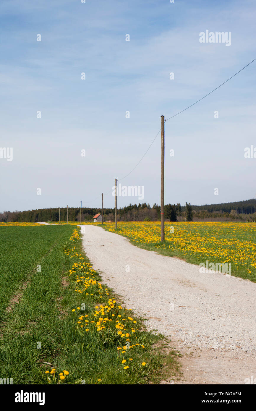 Piccolo paese strada in Baviera Foto Stock