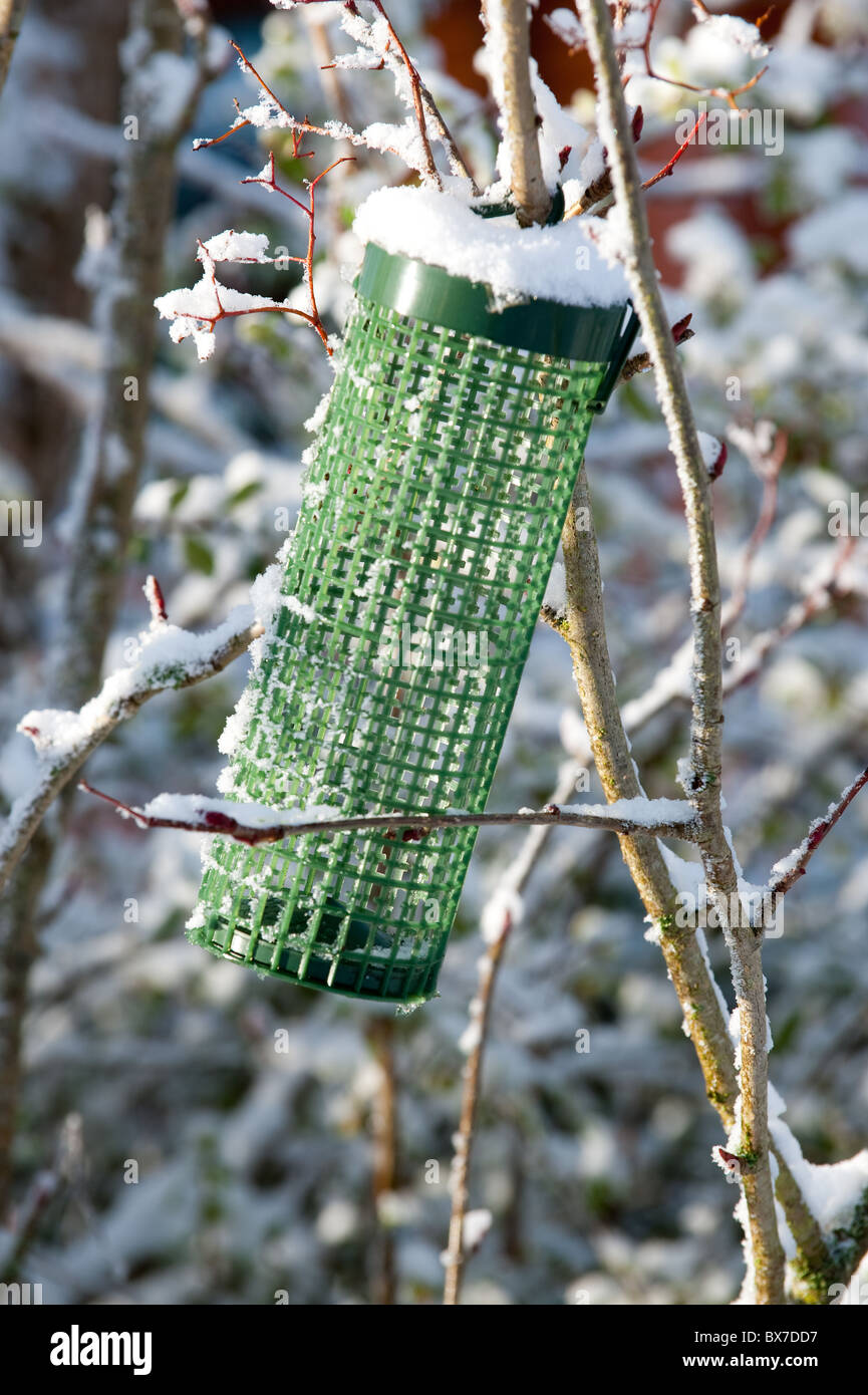 Negli ultimi anni in plastica alimentatore di uccelli in attesa per una ricarica durante la prima neve di questo inverno. Foto Stock