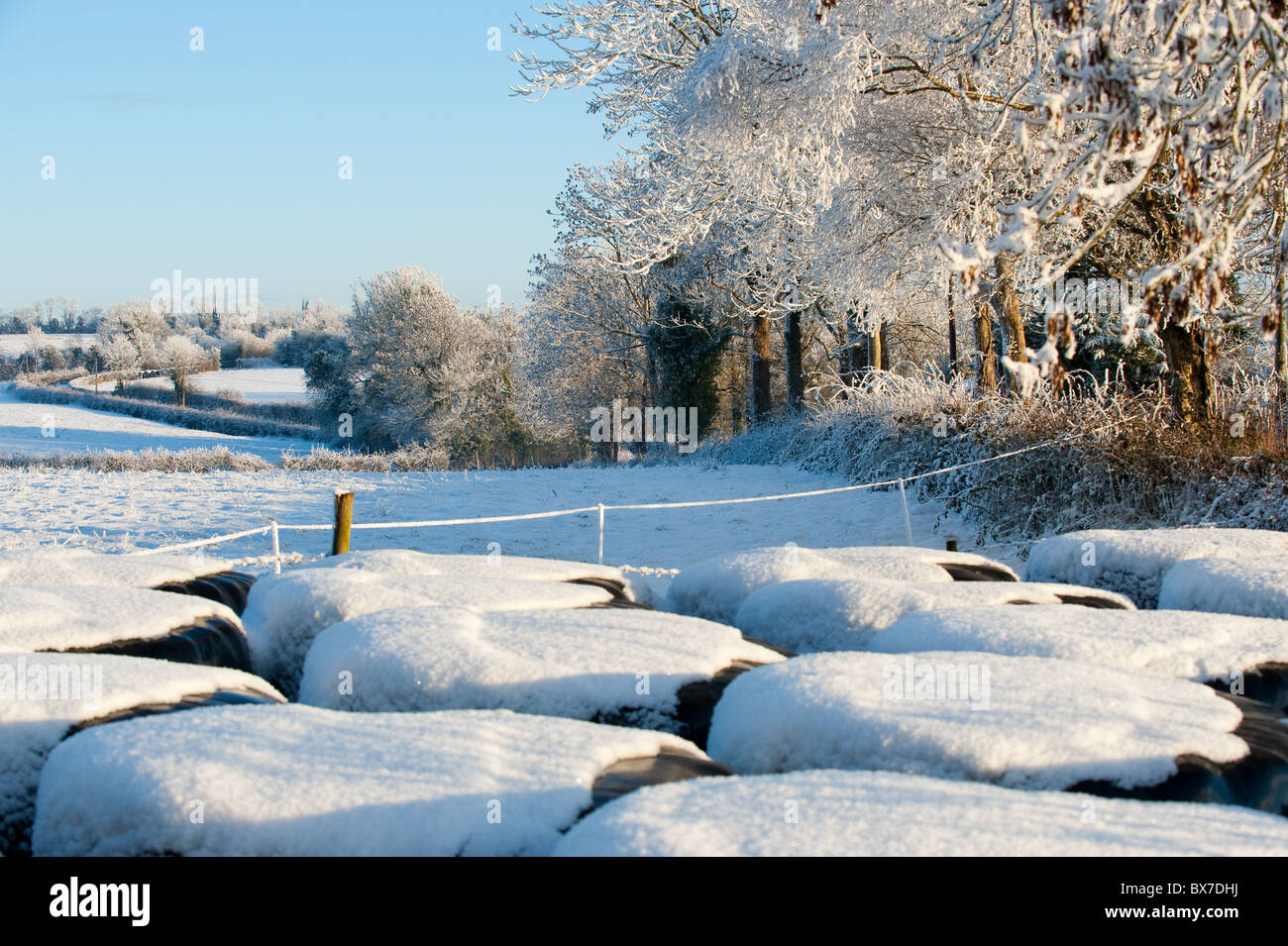 Coperti di paglia in una congelati coltre di neve fresca su un soleggiato inverni giorno Foto Stock