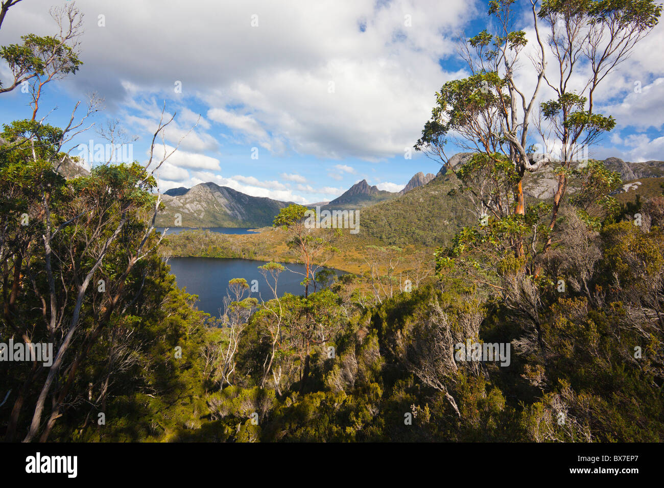 Il lago di Lilla, Colomba Lago con Cradle Mountain in background, Cradle Mountain Lake St Clair National Park, la Tasmania Foto Stock