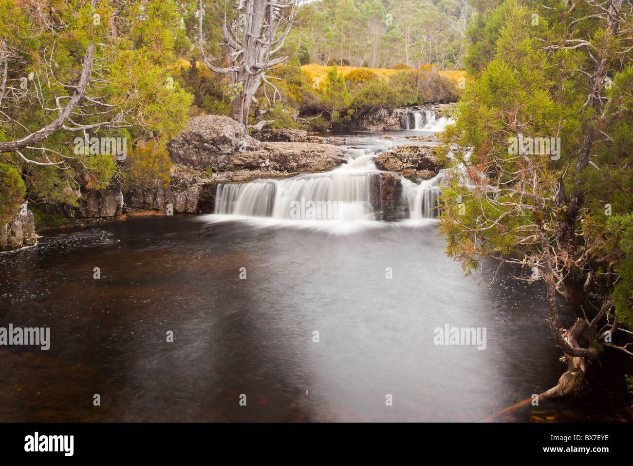 Il cade sulla matita Pine Creek a Cradle Mountain, Tasmania Foto Stock
