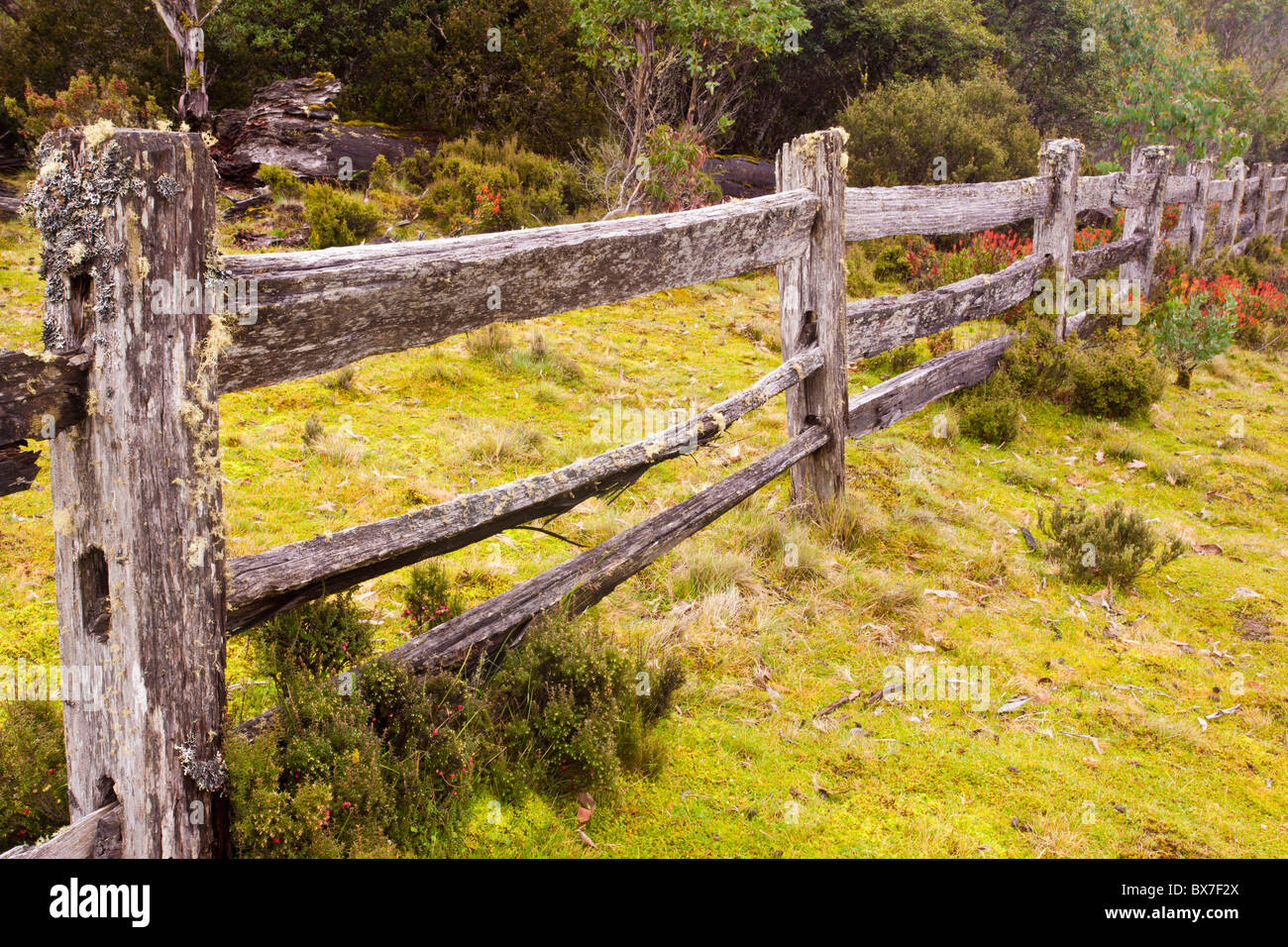 Antica recinzione, Cradle Mountain, Cradle Mountain Lake St Clair National Park, la Tasmania Foto Stock