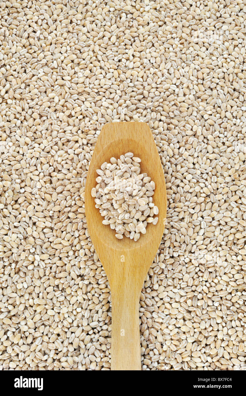 Il cucchiaio di legno ed essiccato orzo perlato - dettaglio - direttamente al di sopra di Foto Stock