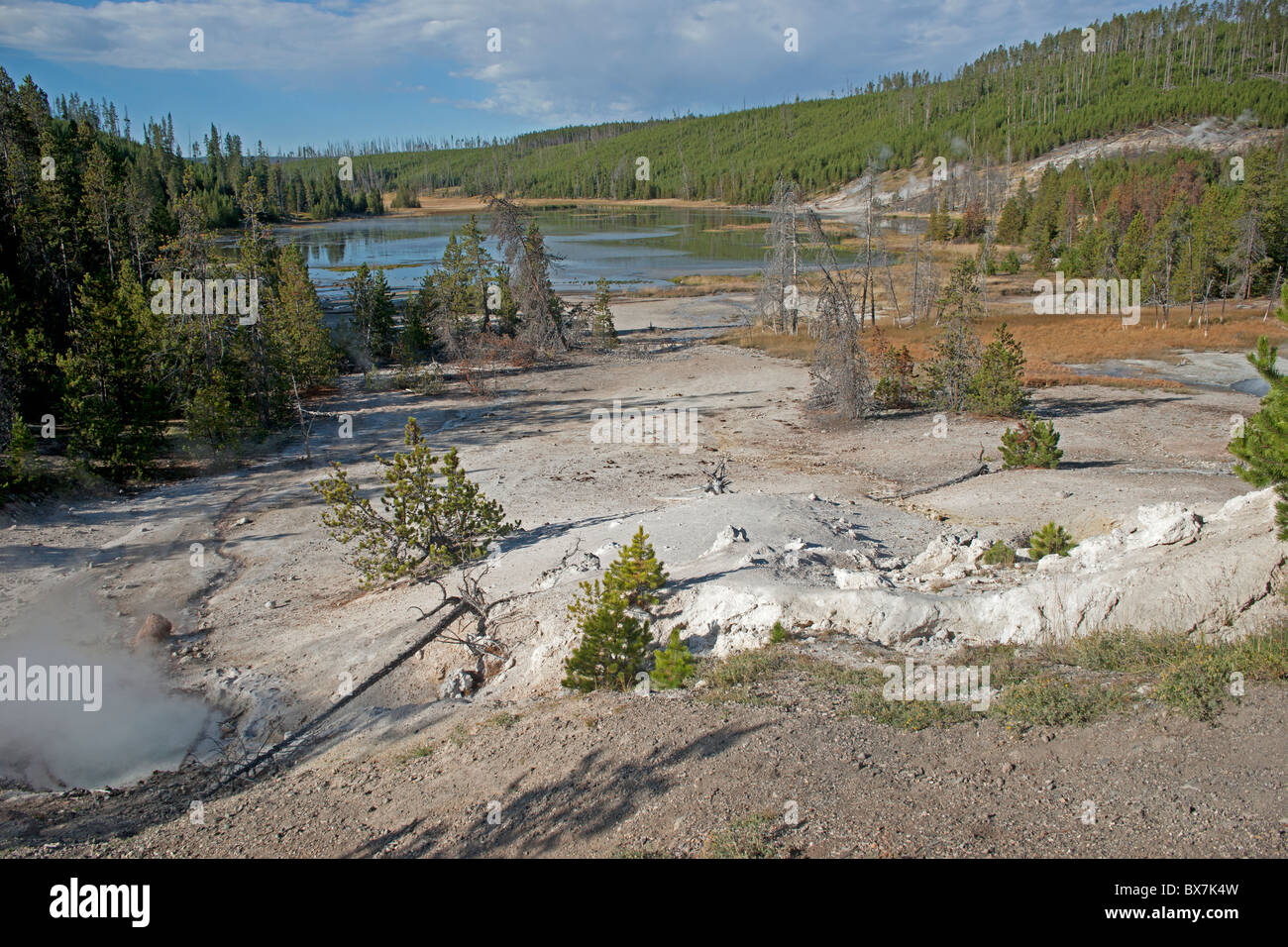 Parco Nazionale di Yellowstone Foto Stock