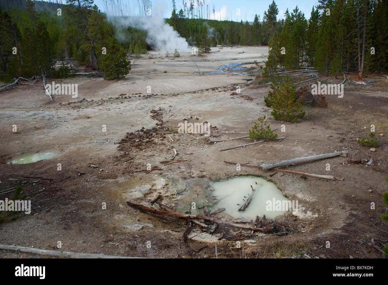 Parco Nazionale di Yellowstone Foto Stock