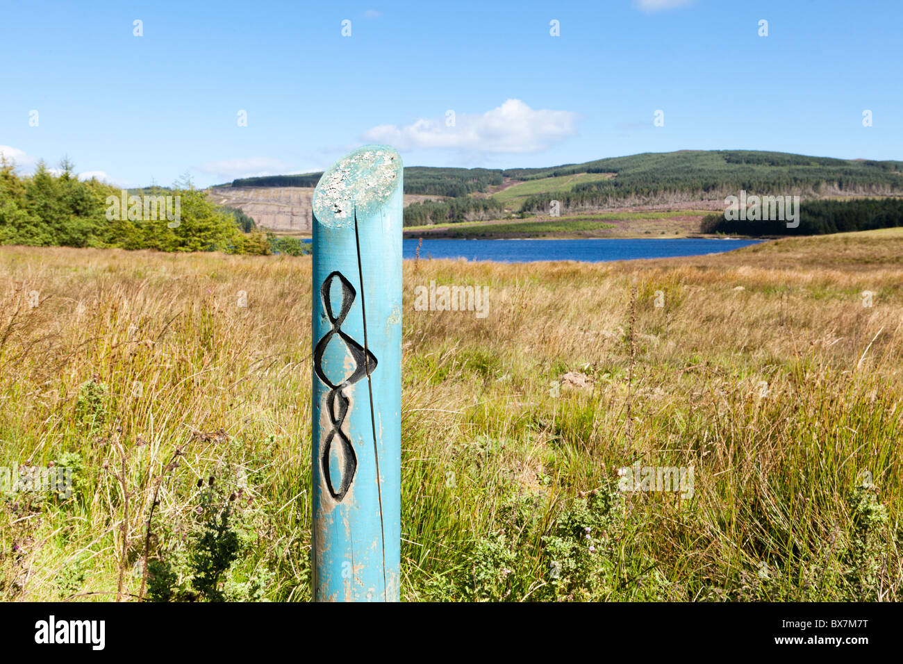 Waymarking post a Loch Lussa per il modo di Kintyre sulla penisola di Kintyre. Argyll & Bute, Scozia Foto Stock