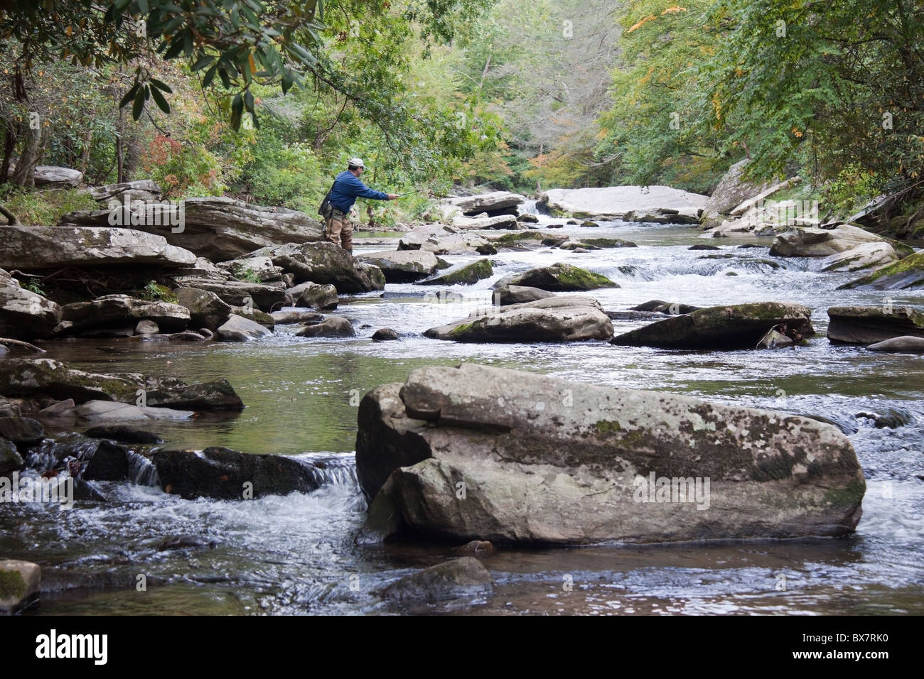 Lone pescatore a mosca sul fiume Oconaluftee vicino Cherokee, North Carolina, STATI UNITI D'AMERICA Foto Stock