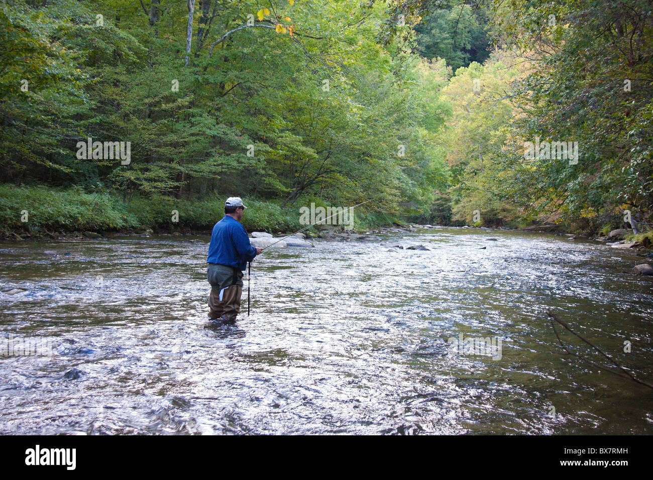 Lone pescatore a mosca sul fiume Oconaluftee vicino Cherokee, North Carolina, STATI UNITI D'AMERICA Foto Stock