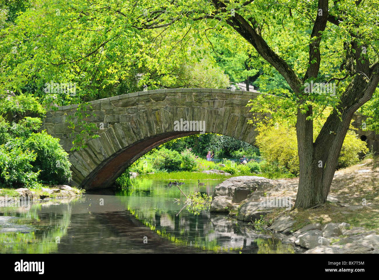 Gapstow Bridge oltre lo stagno al Central Park di New York City Foto Stock