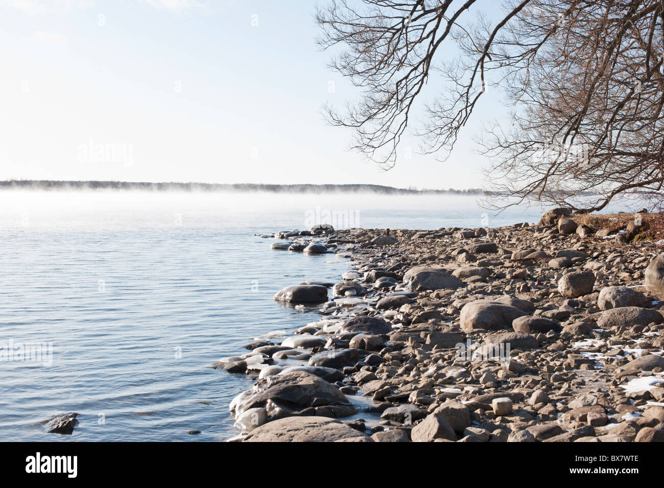 La costa rocciosa del fiume San Lorenzo in una nebbiosa mattina inverno vicino Iroquois Ontario. Foto Stock
