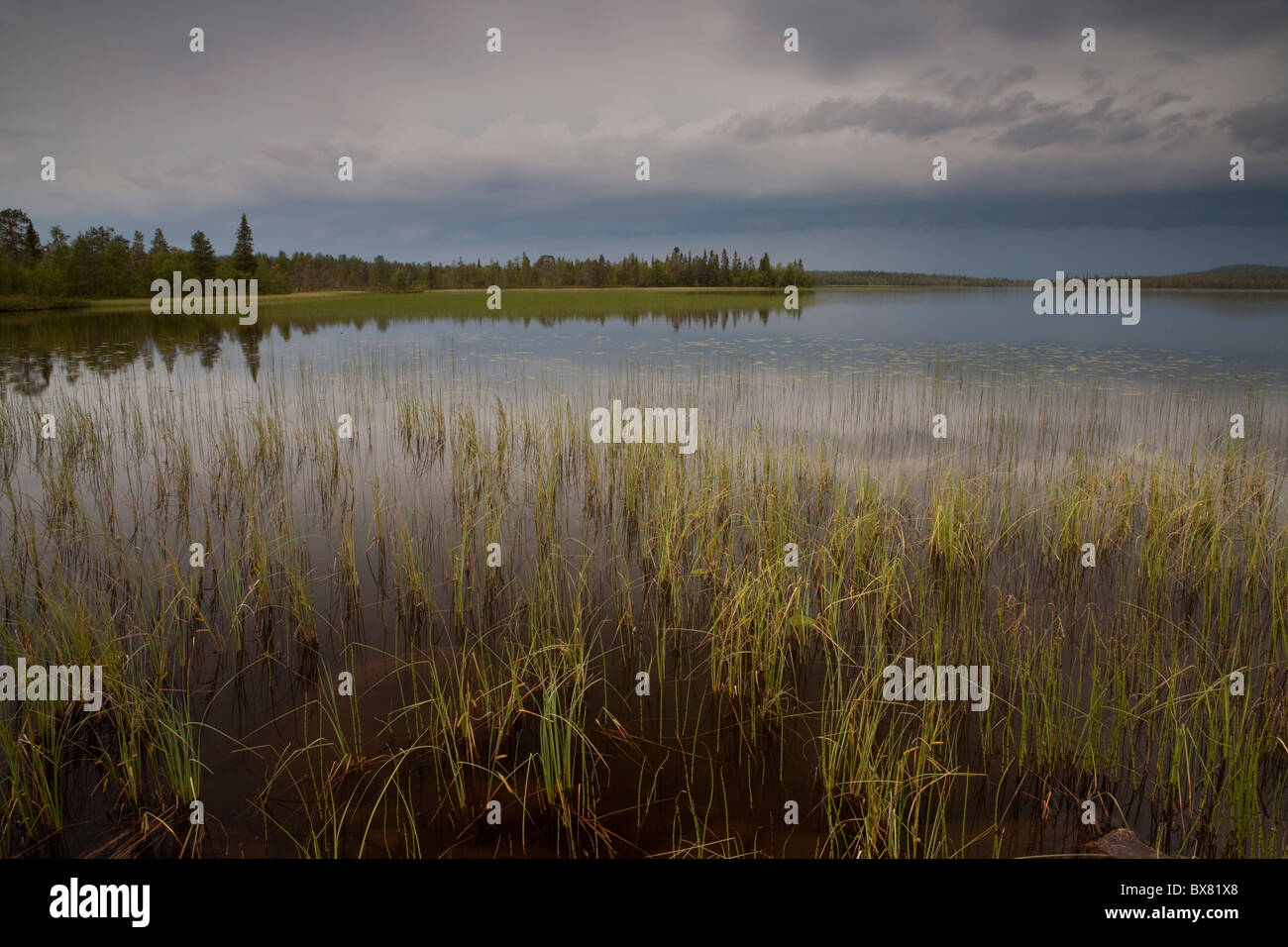 Tempesta nel lago Jerisjärvi, Parco Nazionale di Pallas-Yllästunturi, Lapponia, Finlandia Foto Stock