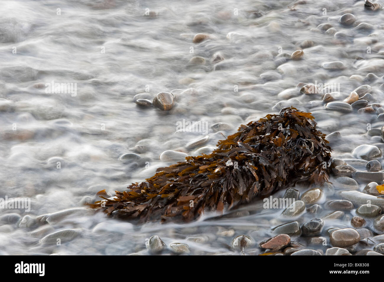 Arte bella immagini create da una lunga esposizione delle onde sulla ghiaia e scogli su una spiaggia scozzese Foto Stock