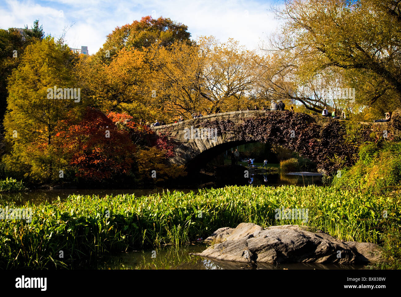 I colori autunnali e Gapstow bridge nel Central Park di New York City. Foto Stock