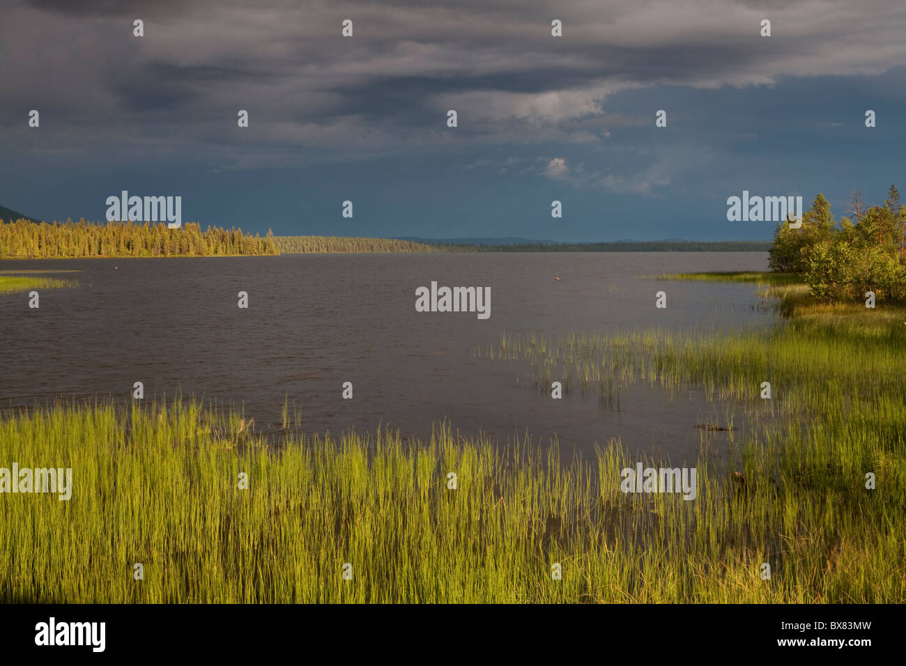 Tempesta nel lago Jerisjärvi, Parco Nazionale di Pallas-Yllästunturi, Lapponia, Finlandia Foto Stock