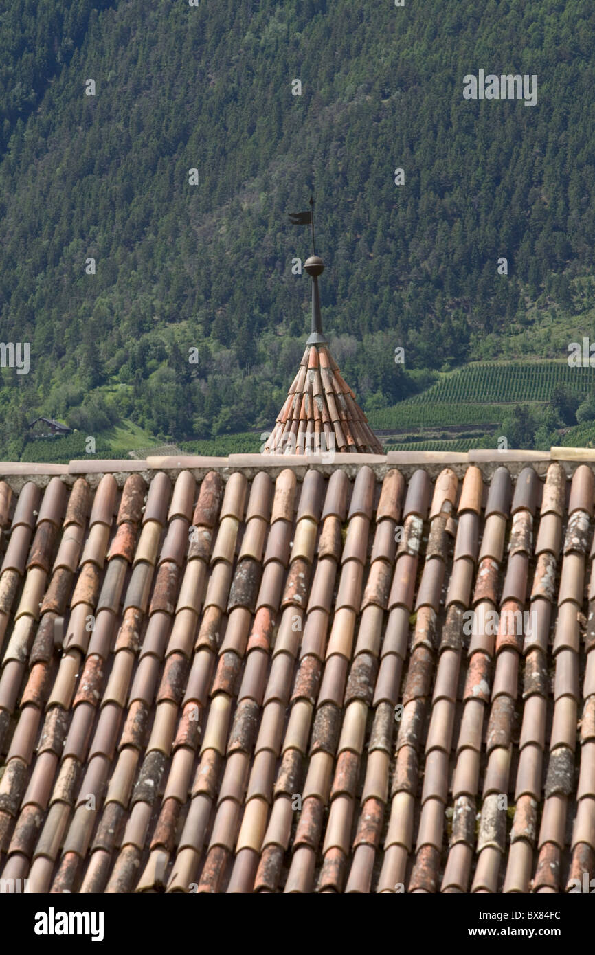 Torre, tetto e weathervane di castello di Goldrain , Val Venosta, Alto Adige, Italia Foto Stock