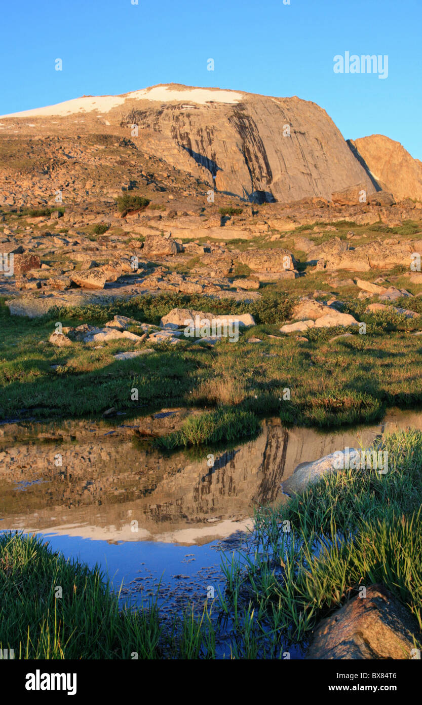 Mattina la riflessione di Wind River picco in una piccola piscina nel Wind River montagne del Wyoming Foto Stock