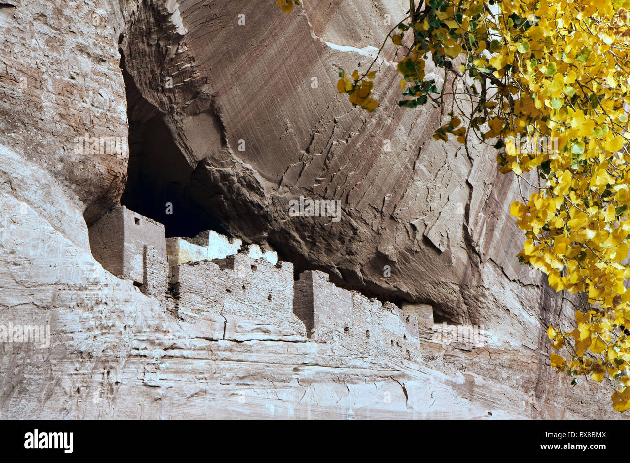 La Casa Bianca Canyon De Chelly Foto Stock