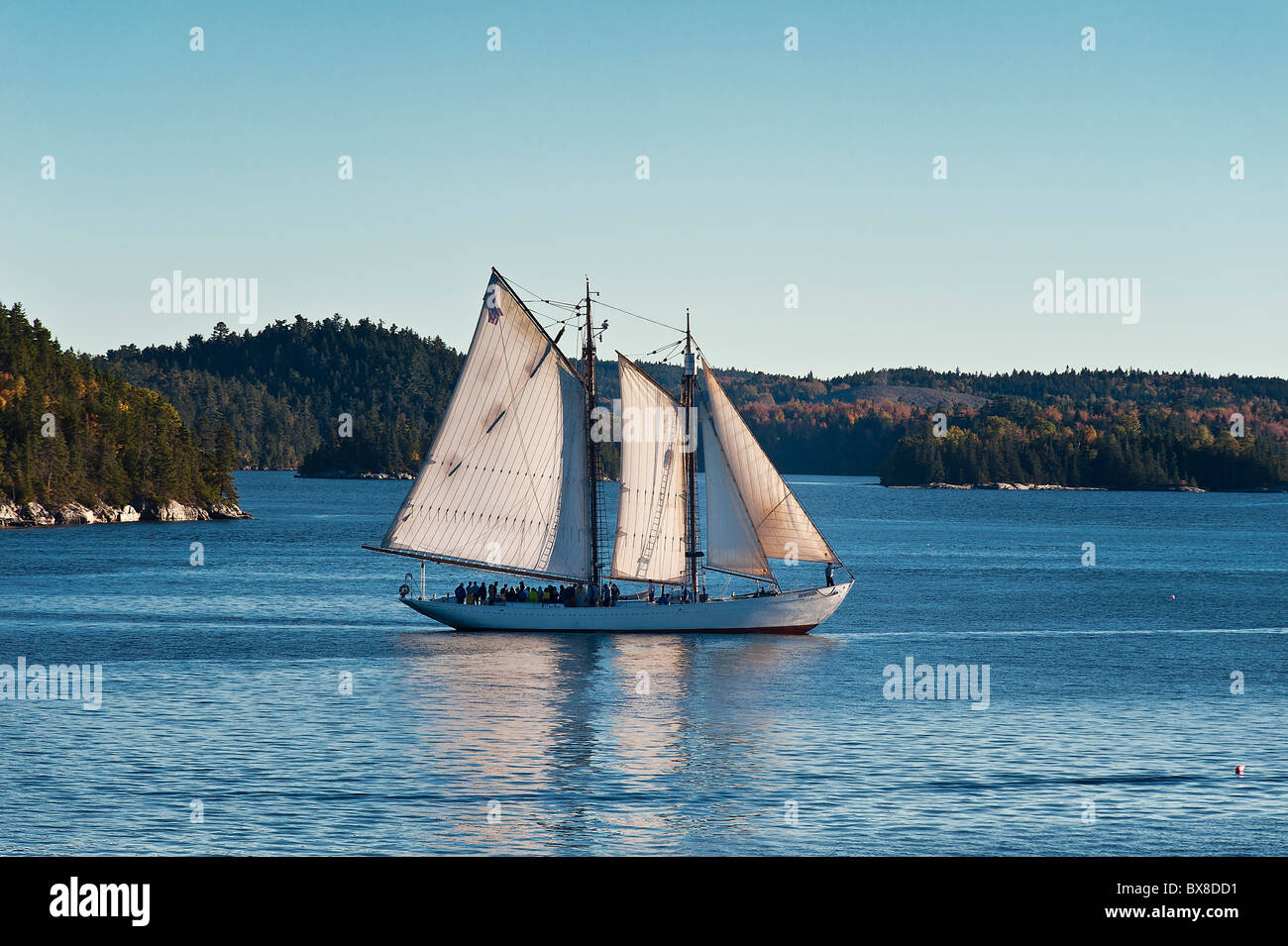 Yacht a vela costa off di Castine, Maine, Stati Uniti d'America Foto Stock